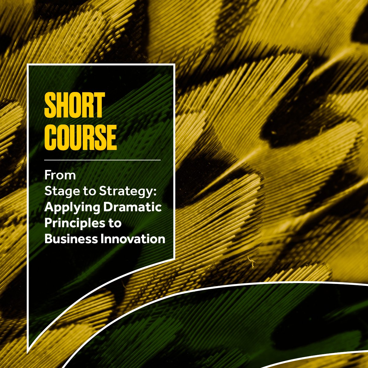 From Stage to Strategy: Applying Dramatic Principles to Business Innovation