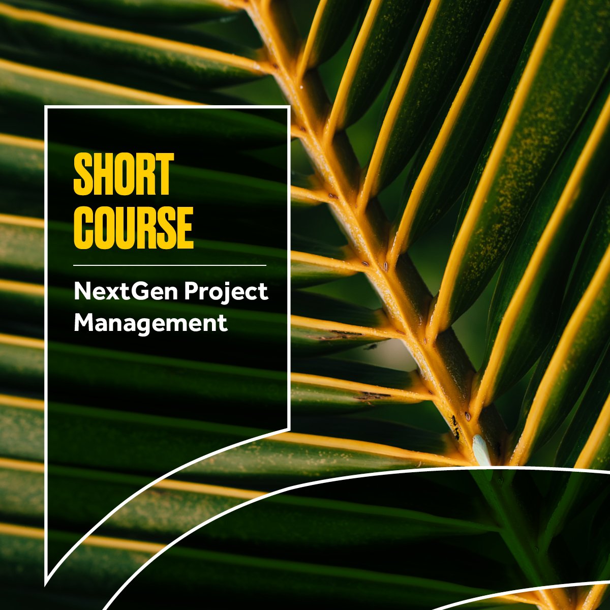 NextGen Project Management