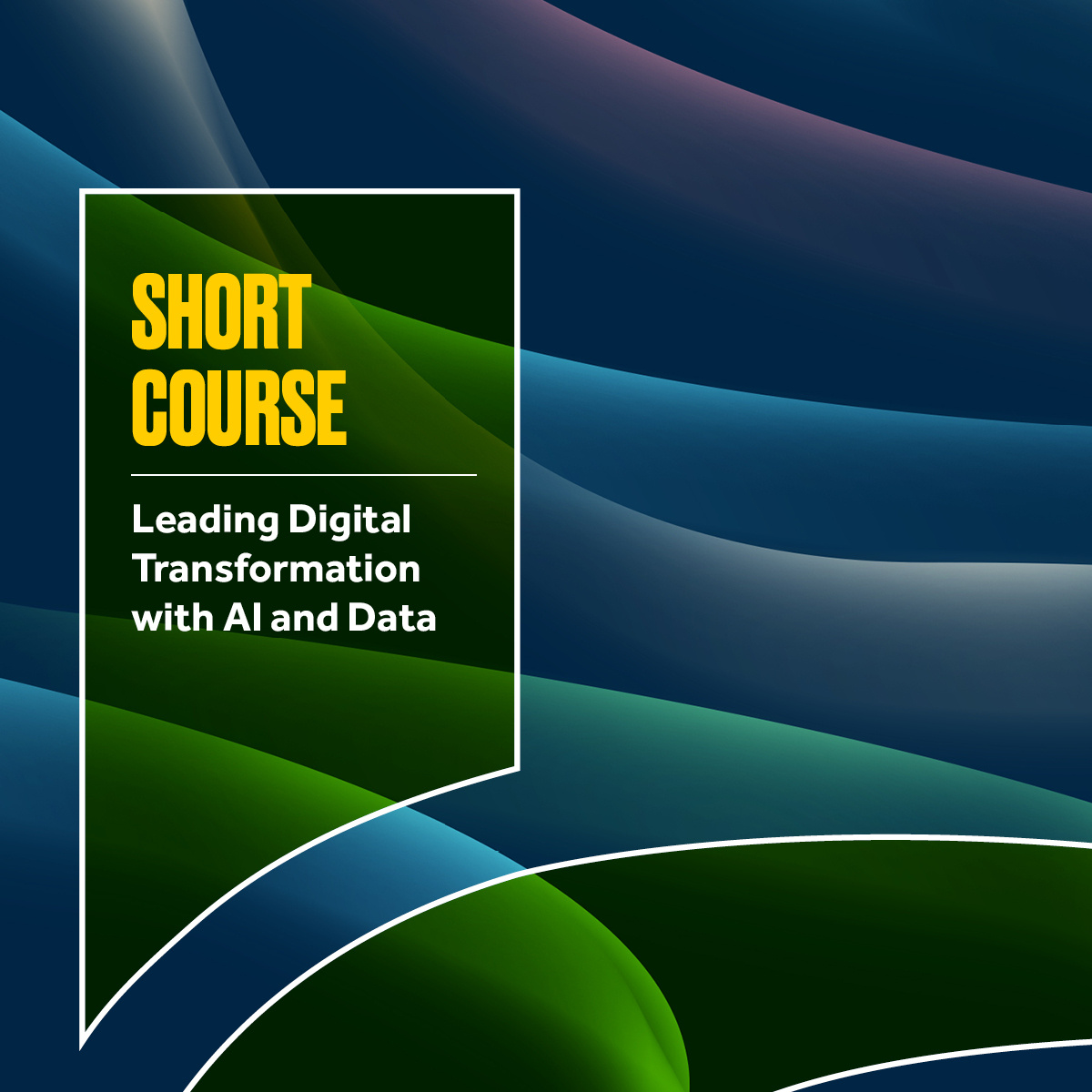 Leading Digital Transformation with AI and Data 