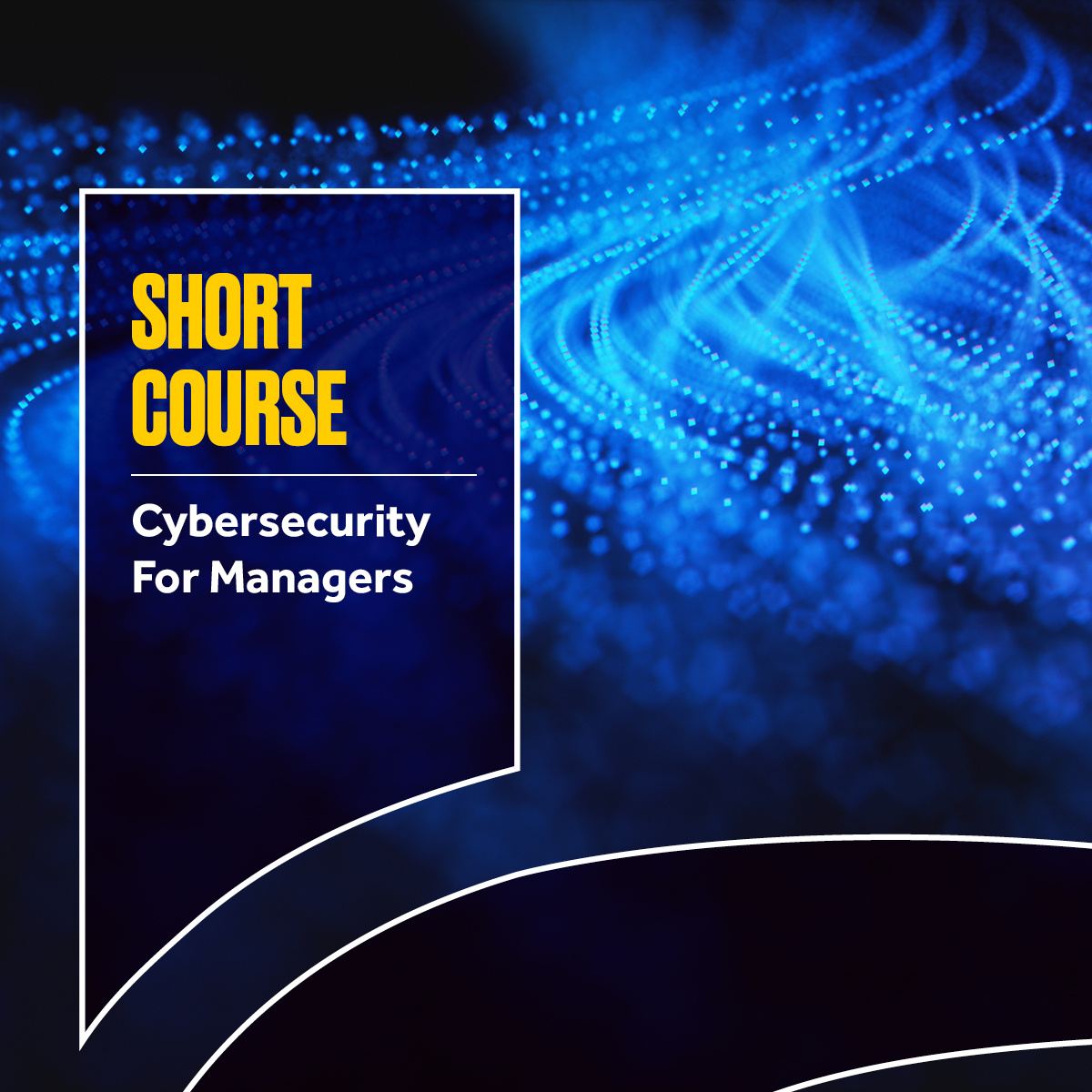 Cybersecurity for Managers 