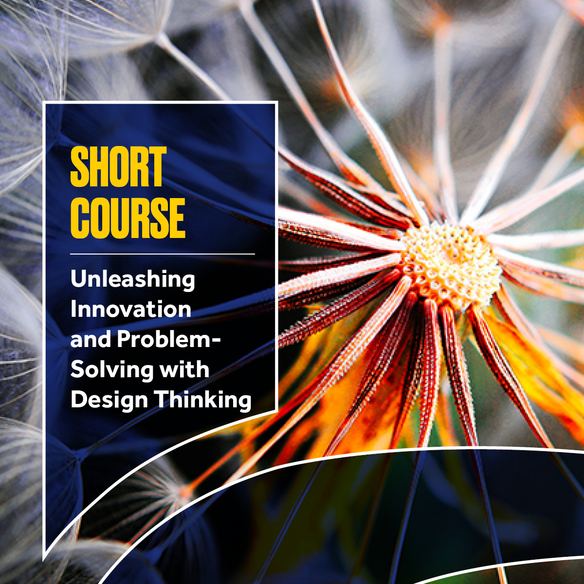 Unleashing Innovation and Problem-Solving with Design Thinking 