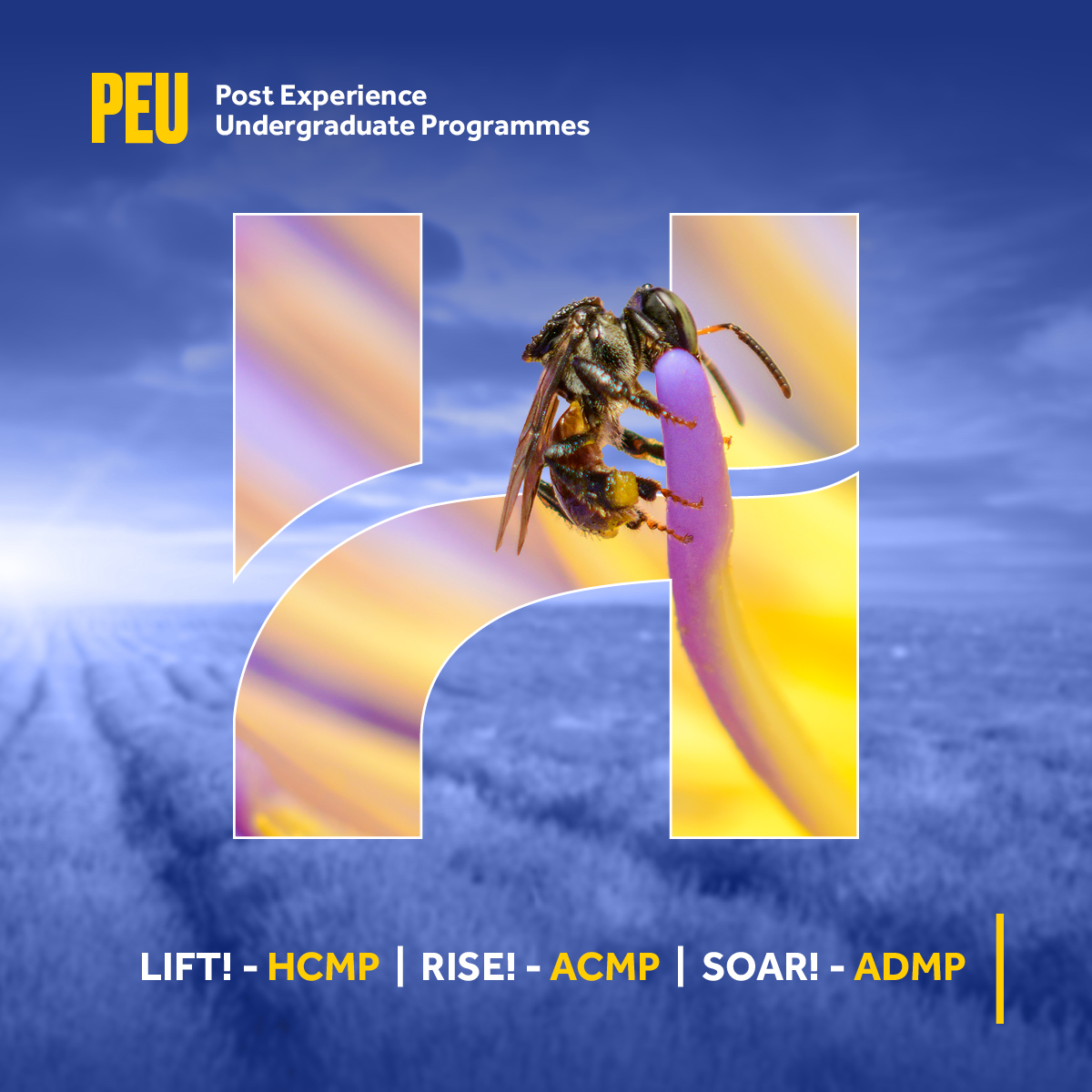 Post Experience | Undergraduate Programmes